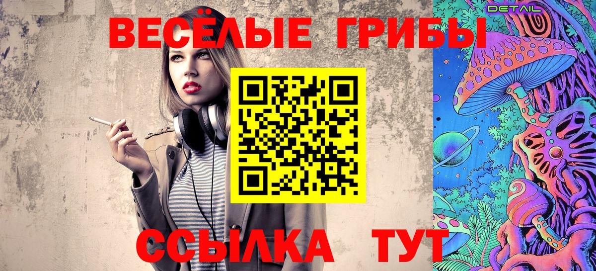 Галлюциногенные грибы Psilocybe  Вход с VPN  Псилоцибиновые грибы мухоморы  Холмск 